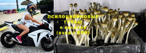 ALPHA-PVP Белокуриха