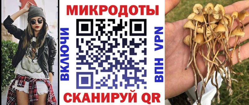 Псилоцибиновые грибы GOLDEN TEACHER  даркнет сайт  Пыть-Ях 