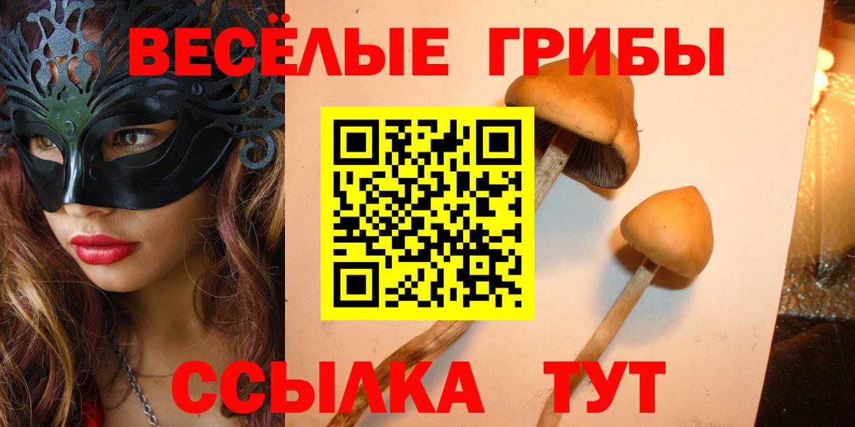Галлюциногенные грибы мухоморы Пыть-Ях